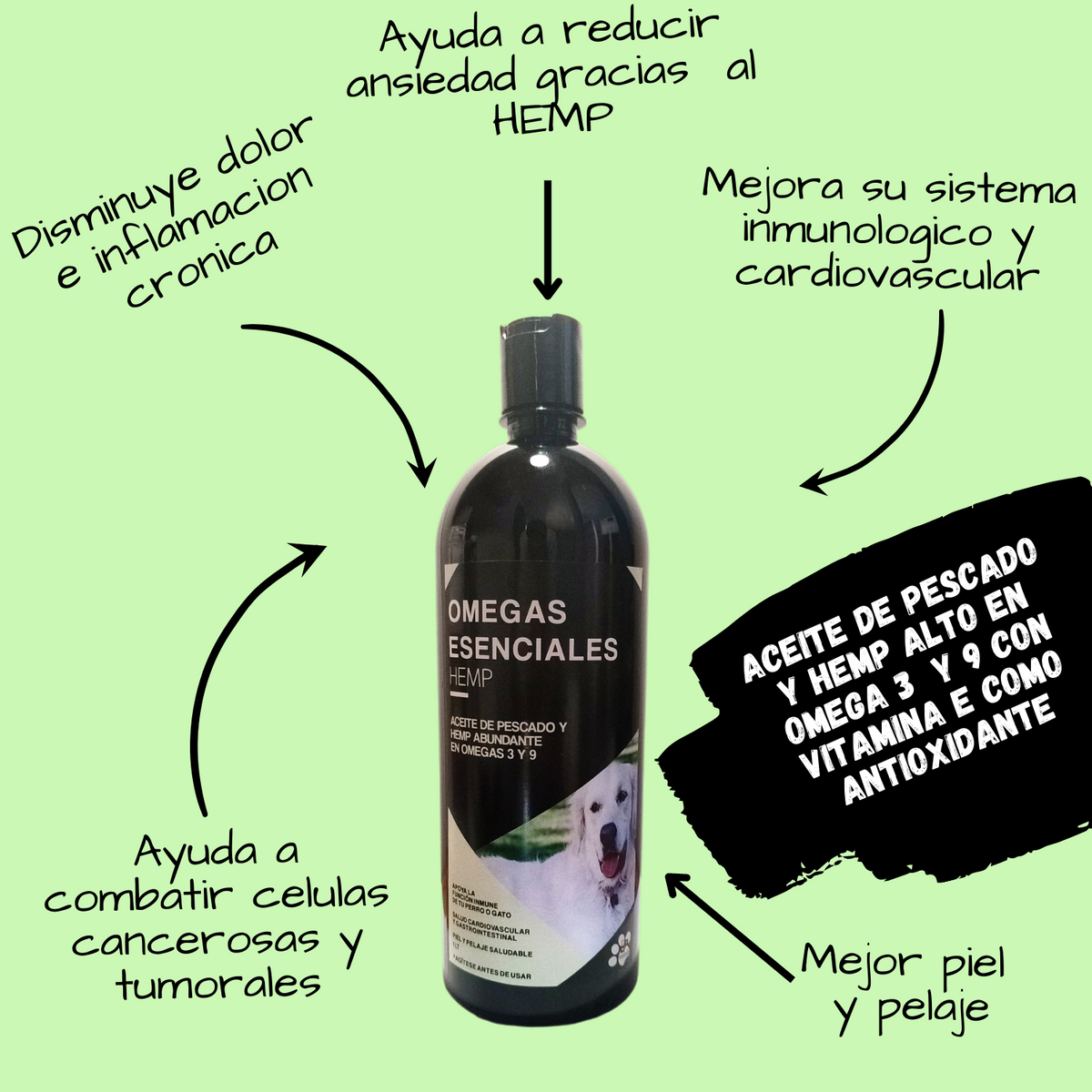 Aceite de salmón para perros y gatos – Piel y pelaje saludables, aceite de  pescado, Omega 3 EPA DHA, suplemento alimenticio líquido para mascotas